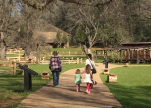 Family Activities Improve Learning Skills-Prevent the Mid-Summer Slide!